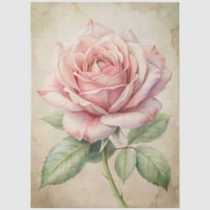 Large Distressed Pink Rose Ephemera Decoupage Tissue Paper