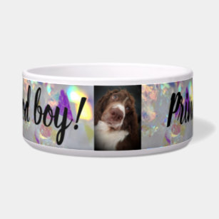 boy dog bowls