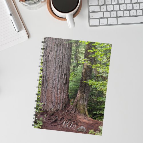 Large Douglas Fir Tree in Forest Notebook