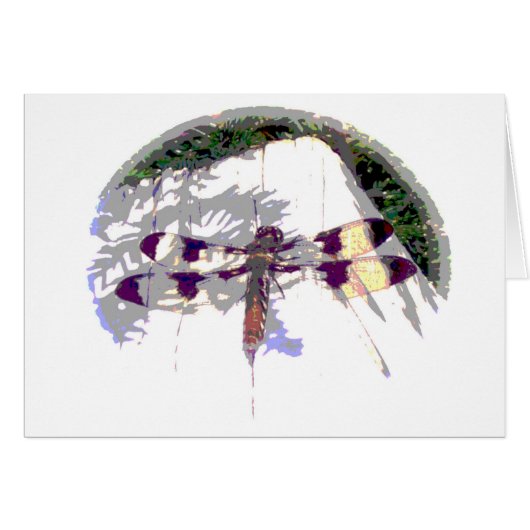 Large Dragonfly Cards (Front Horizontal)