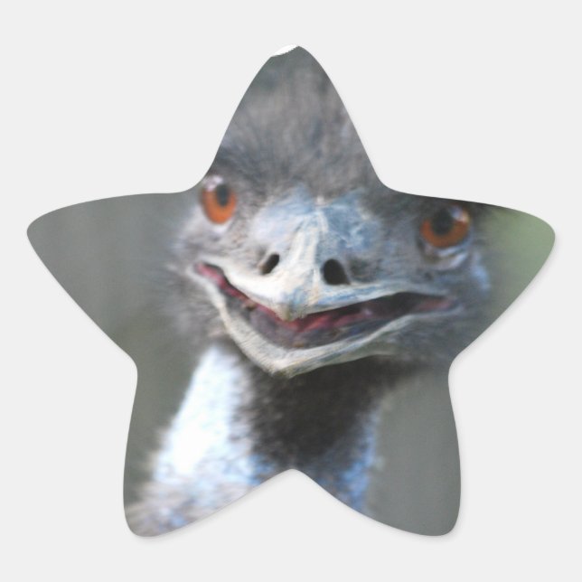 Large Emu  Stickers (Front)