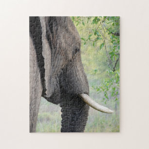 Large Exotic African Grey Elephant Jigsaw Puzzle