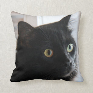 Large-eyed Black Cat Pillow, home or dorm Throw Pillow