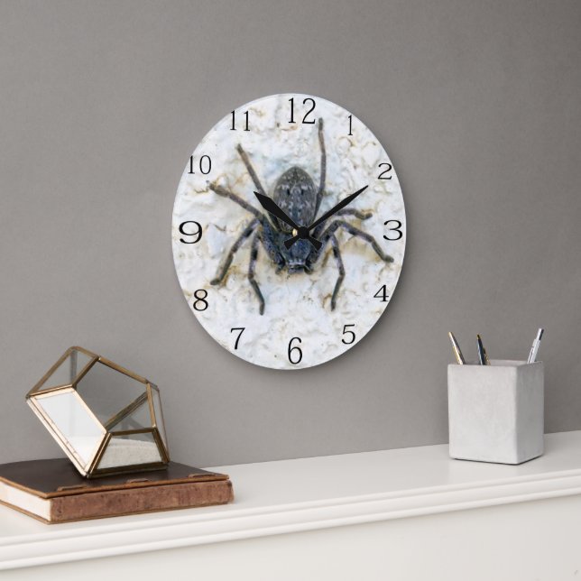 Clock Spider Australia