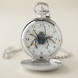 Large Female Huntsman Spider, Pocket Watch