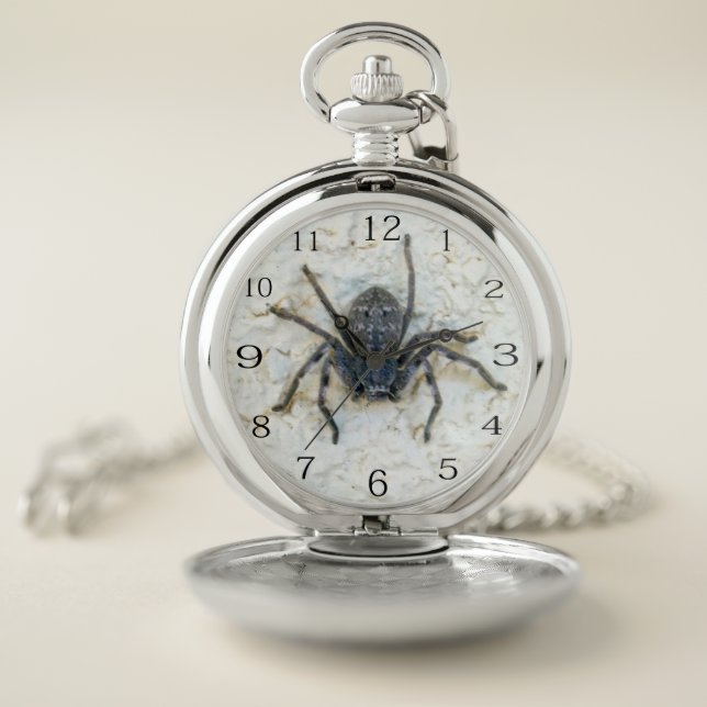 Large Female Huntsman Spider, Pocket Watch (Inside)