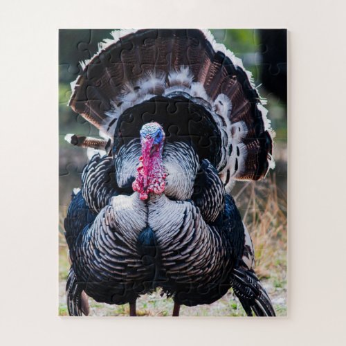 Large Festive Thanksgiving Turkey Jigsaw Puzzle