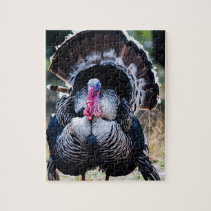 Large Festive Thanksgiving Turkey Jigsaw Puzzle