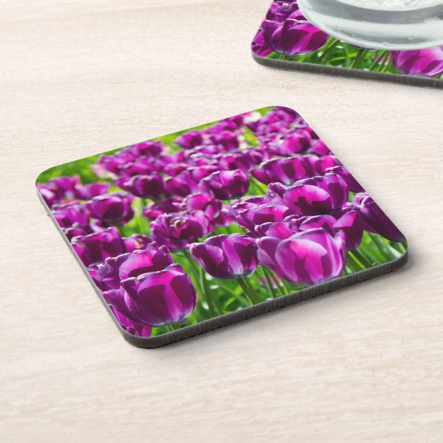 Large field of purple tulips  beverage coaster (Left Side)
