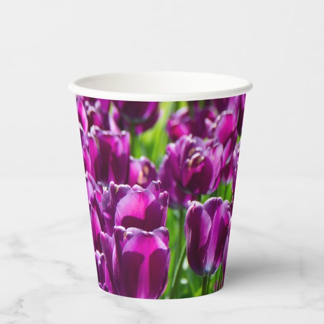 Large field of purple tulips   paper cups (Front)