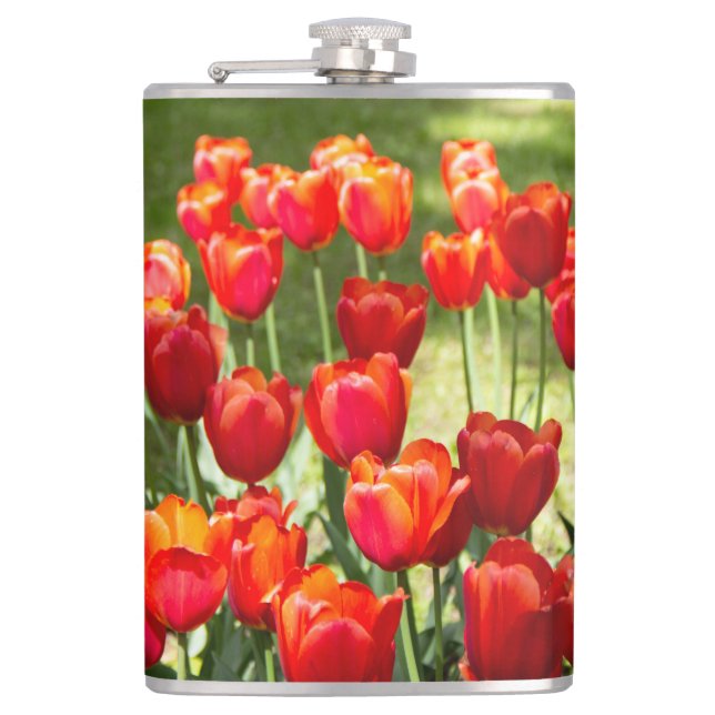 Large field of red tulips  flask (Front)