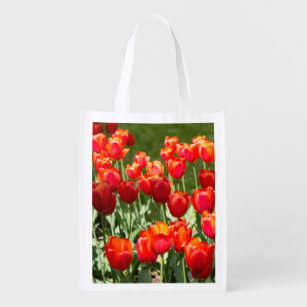 Large field of red tulips   grocery bag