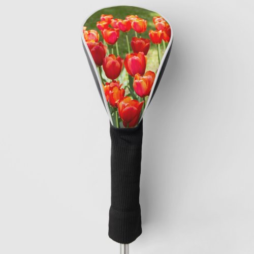 Large field of red tulips jigsaw  golf head cover