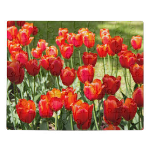 Large field of red tulips jigsaw puzzle