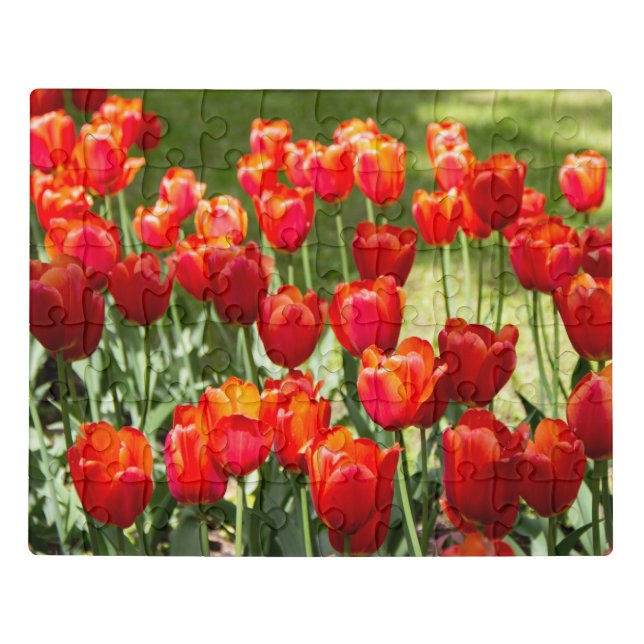 Large field of red tulips jigsaw puzzle (Puzzle Horizontal)