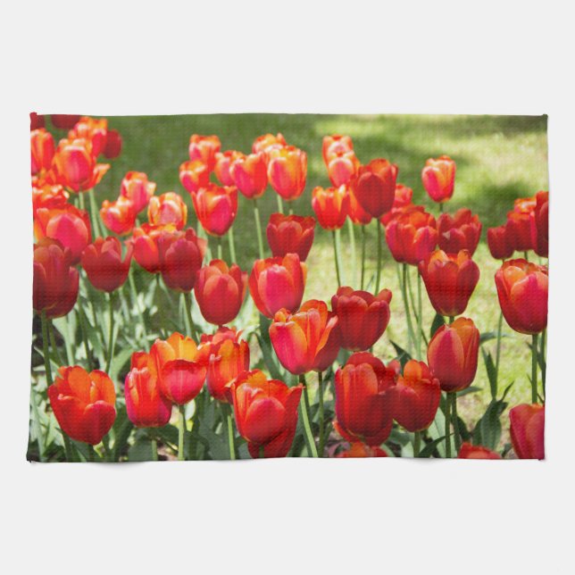 Large field of red tulips     kitchen towel (Horizontal)