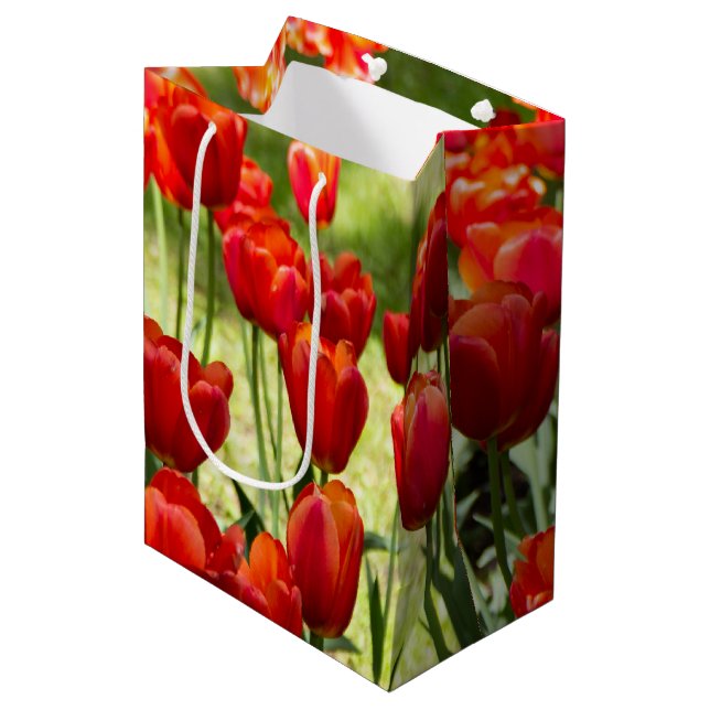 Large field of red tulips    medium gift bag (Front Angled)
