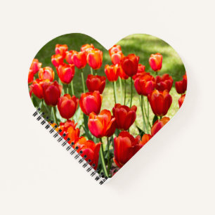 Large field of red tulips notebook