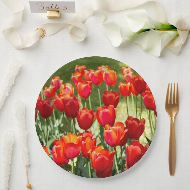 Large field of red tulips    paper plates (Wedding)