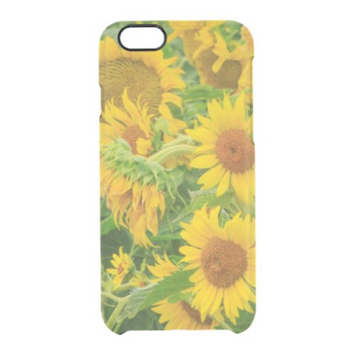 Large field of sunflowers near Moses Lake WA 2 Clear iPhone 66S Case