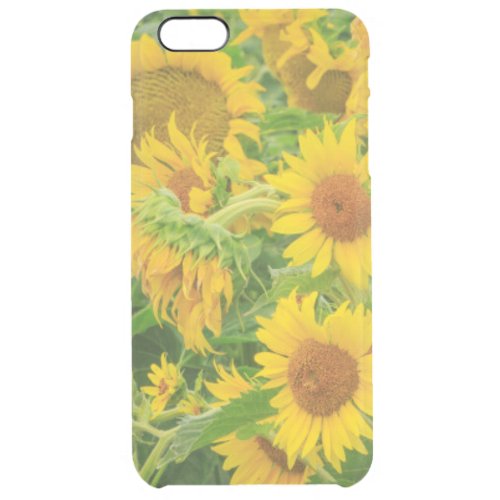 Large field of sunflowers near Moses Lake WA 2 Clear iPhone 6 Plus Case