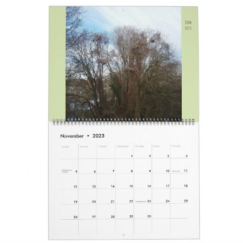 Large Flora  Fauna Downyland Neighborhood Calendar