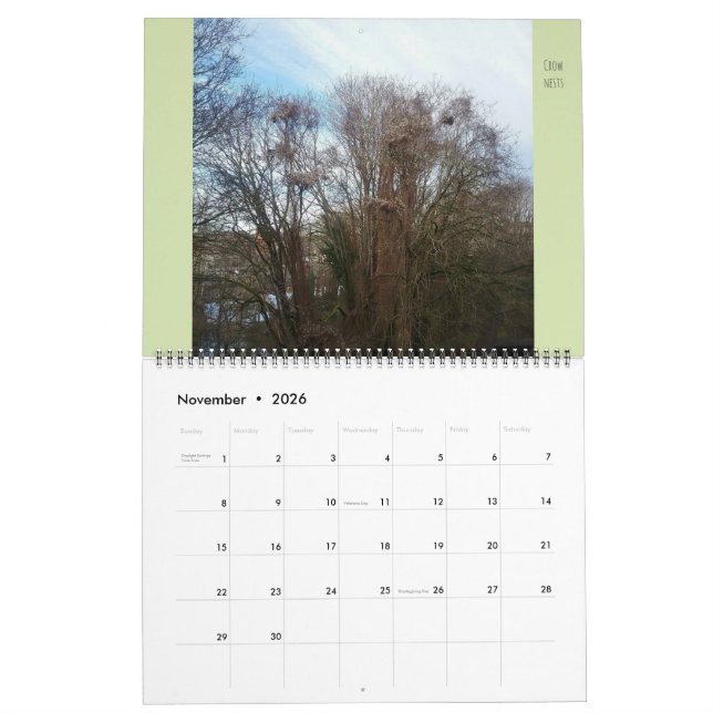 Large Flora & Fauna "Downyland" Neighborhood Calendar (Nov 2026)