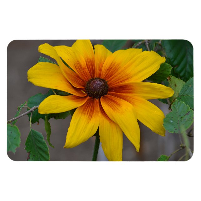 Large Flower Magnet (Horizontal)