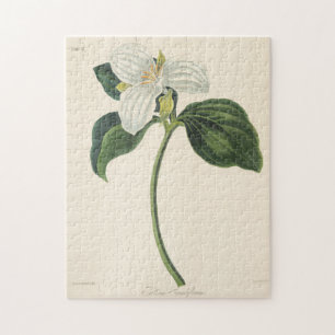 Large Flowered Trillium Jigsaw Puzzle