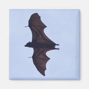 Large Flying Bat Magnet