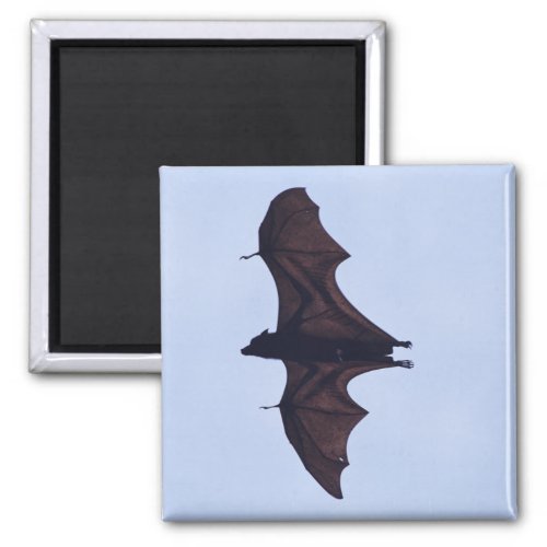 Large Flying  Bat Magnet