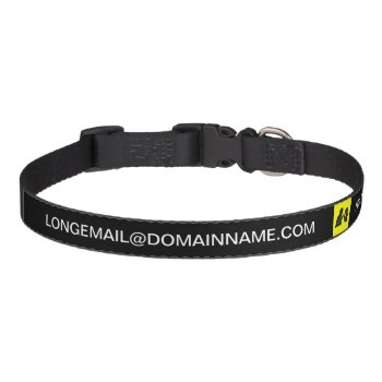 Large Font And Photo Pet Collar by LLChemis_Creations at Zazzle