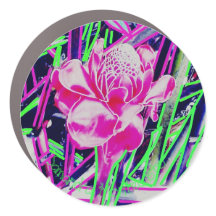 Large Fridge & Car Magnet Art Gallery #1