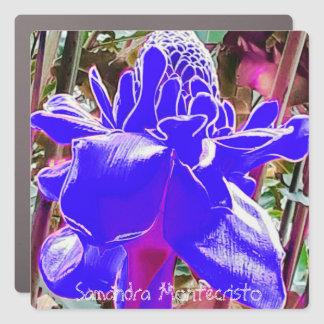 Large Fridge & Car Magnet Art Gallery #2