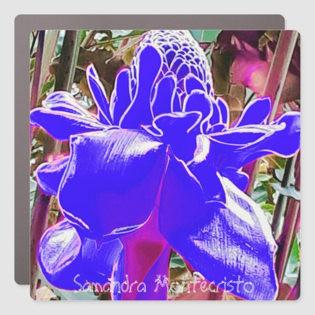 Large Fridge & Car Magnet Art Gallery #2 (Front)