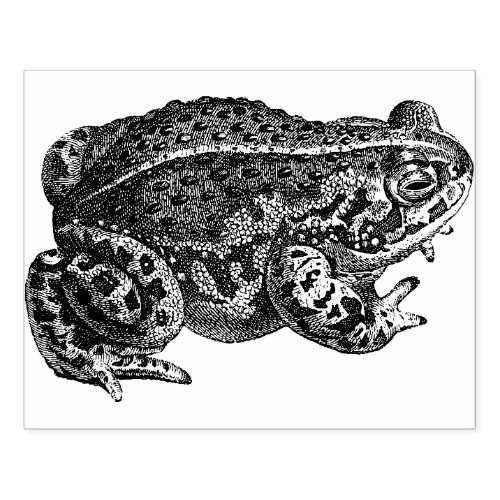 Large Frog Rubber Stamp