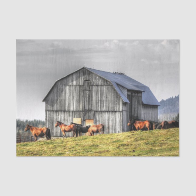 Large Gray Barn and Majestic Horses  Tissue Paper (Front)