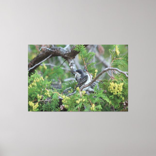 Large Grey Bird Canvas Print (Front)