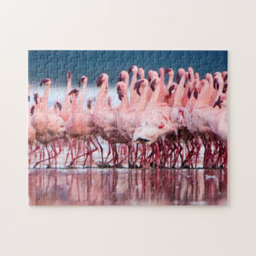 Large Group Of Lesser Flamingos Jigsaw Puzzle