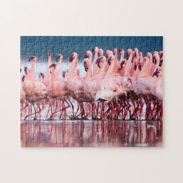Large Group Of Lesser Flamingos Jigsaw Puzzle (Horizontal)