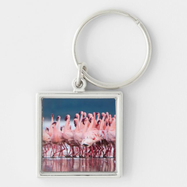 Large Group Of Lesser Flamingos Keychain (Front)