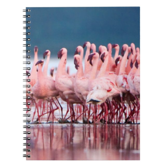 Large Group Of Lesser Flamingos Notebook (Front)