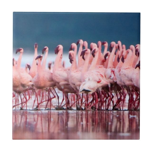 Large Group Of Lesser Flamingos Tile (Front)