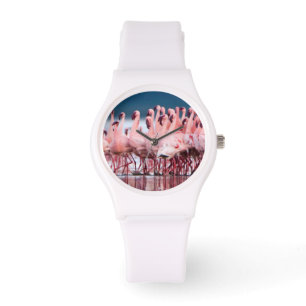 Large Group Of Lesser Flamingos Watch