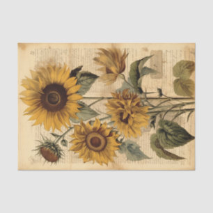 Large, Happy Vintage Sunflowers on Script Tissue Paper