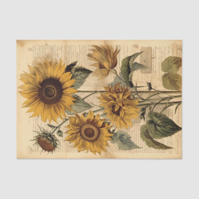 Large, Happy Vintage Sunflowers on Script Tissue Paper (Front)