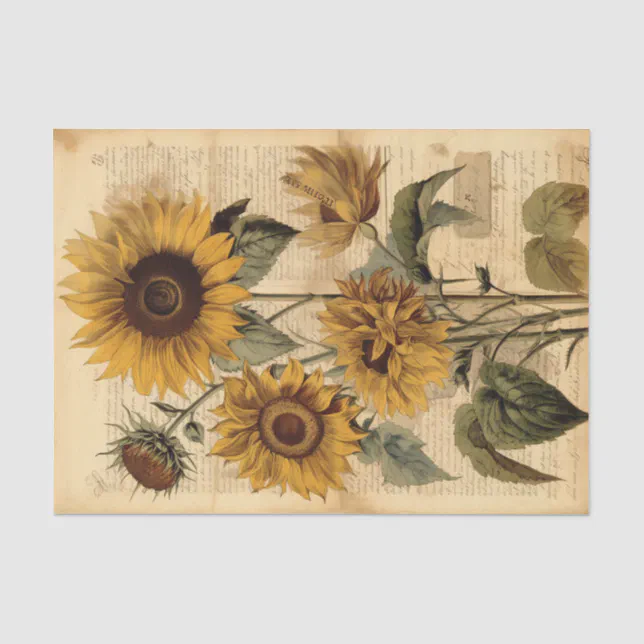 Large, Happy Vintage Sunflowers on Script Tissue Paper | Zazzle