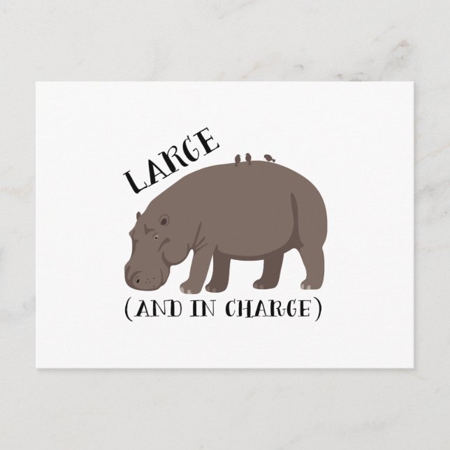 Large Hippo Postcard (Front)
