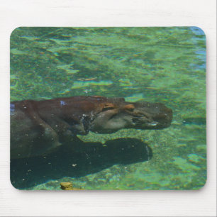 Large Hippo Swimming Under Water, Mouse Pad