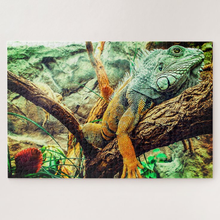 Large Iguana Jigsaw Puzzle | Zazzle